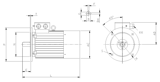 Forma costruttiva B5 in ghisa con flangia
