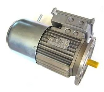 Motore elettrico autofrenante