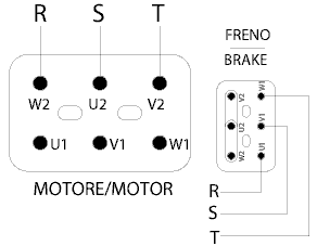 Motore trifase 2 velocità doppio avvolgimento freno trifase collegamento velocità bassa